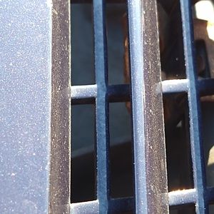 Meet your Posher, Toni